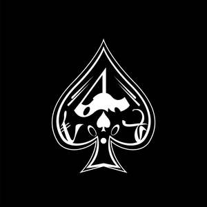 高圆圆是馒头逼吗
