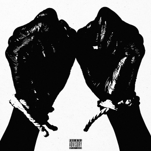 高圆圆是馒头逼吗
