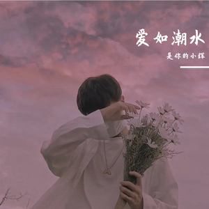 高圆圆是馒头逼吗
