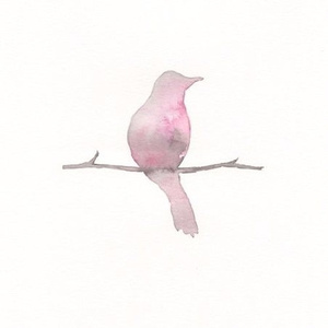 高圆圆是馒头逼吗
